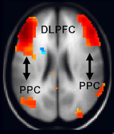 Pasted image 20260606014804.png
